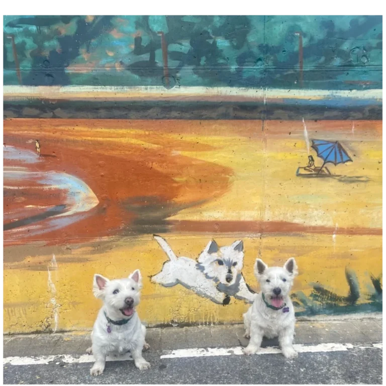 Gorliz con tu mascota