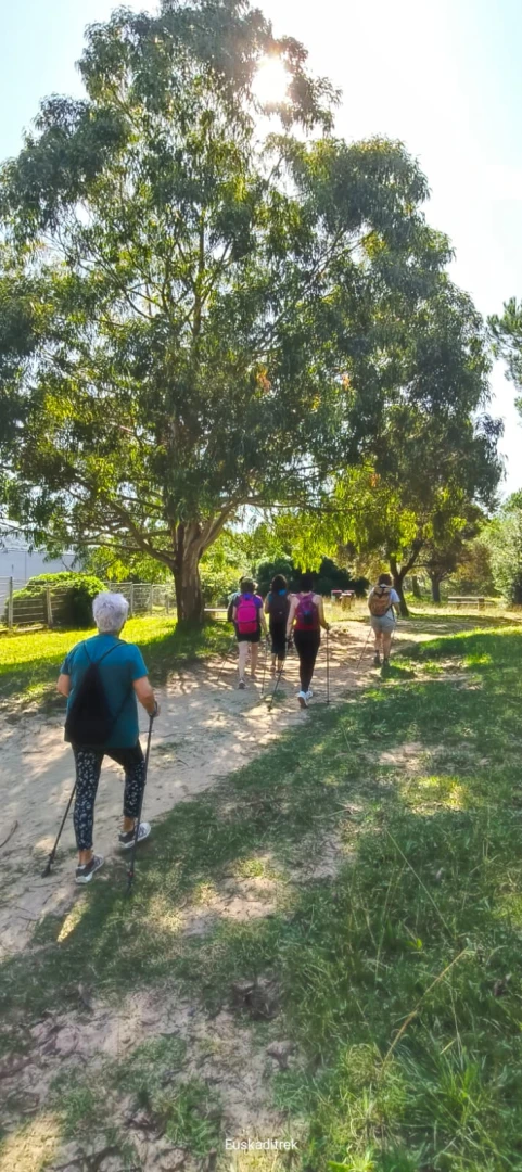 Salida Nordic Walking – marzo 2026