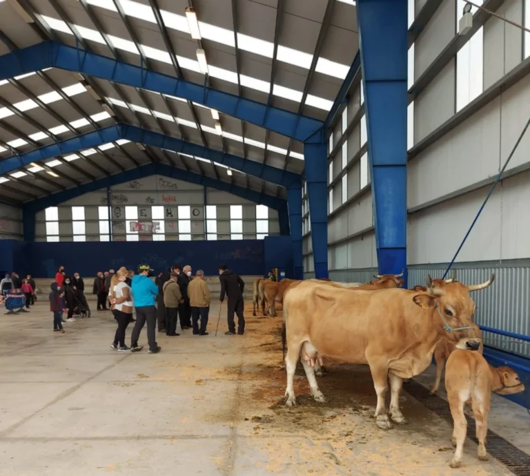 Feria ganadera Mungia